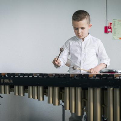 Sitaminstrumentu nodaļas koncerts