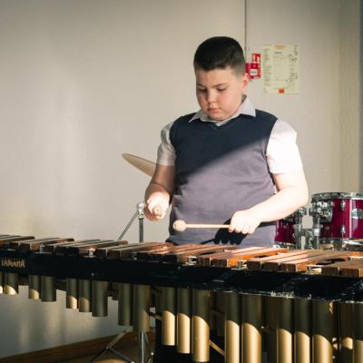 Sitaminstrumentu nodaļas koncerts