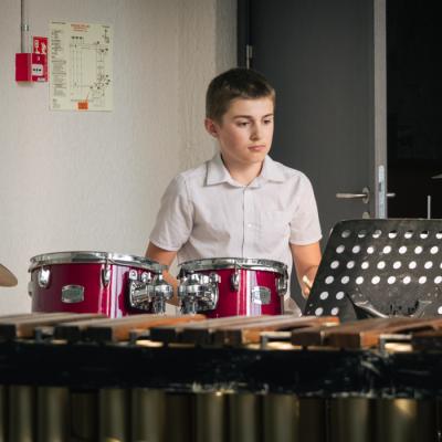 Sitaminstrumentu nodaļas koncerts