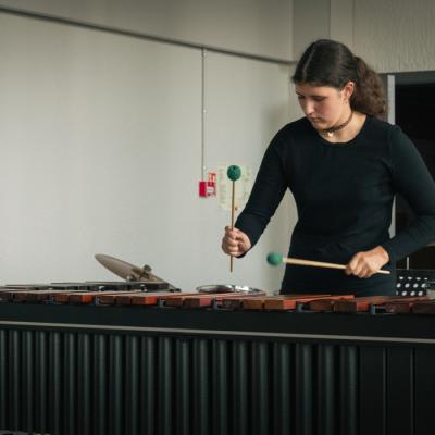 Sitaminstrumentu nodaļas koncerts