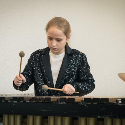 Sitaminstrumentu nodaļas koncerts